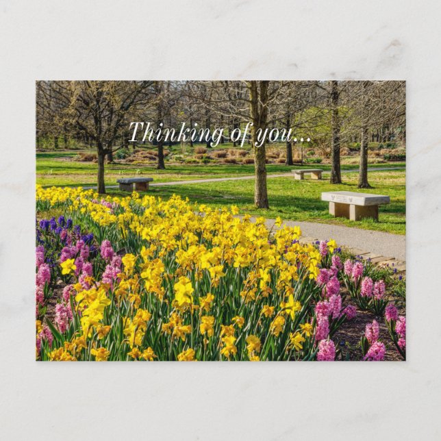 Spring Season Flower Garden Thinking Of You Postkarte (Vorderseite)