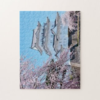 Spring Serenity at Numazu Castle – Sakura in Bloom