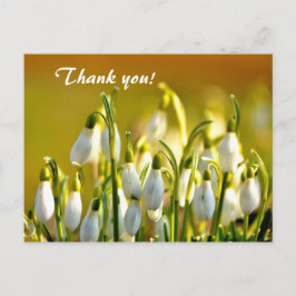 Spring Snowdropps Blume Danke Postkarte