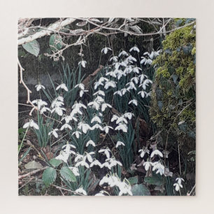 Spring Snowdrops Jigsaw Puzzle
