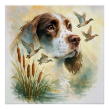 Spring Spaniel und Mallard Enten Doppelexposition
