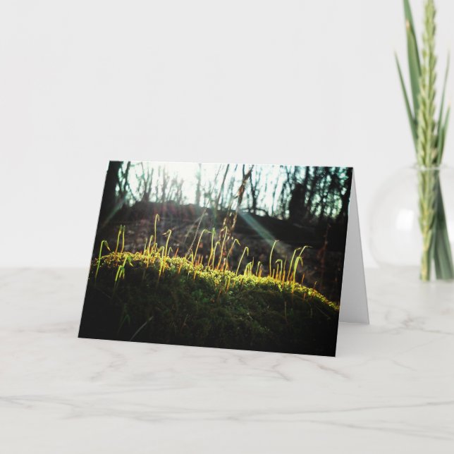 "Spring Sprouts" Get Well Card Karte (Vorderseite)