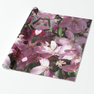 Spring Sprung Geschenkpapier