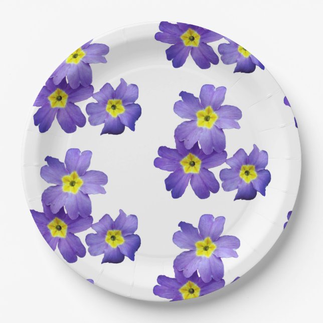 Spring Sprung Paper Teller 9 (Vorderseite)