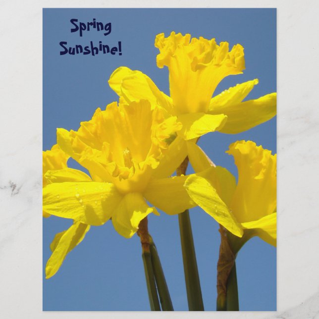 Spring Sunshine Scrapbook Paper Affodis Blume (Vorderseite)