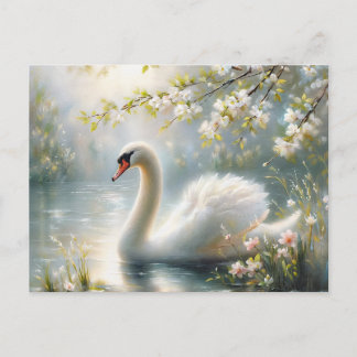 Spring Swan Swimming On Lake Blossoms Postkarte