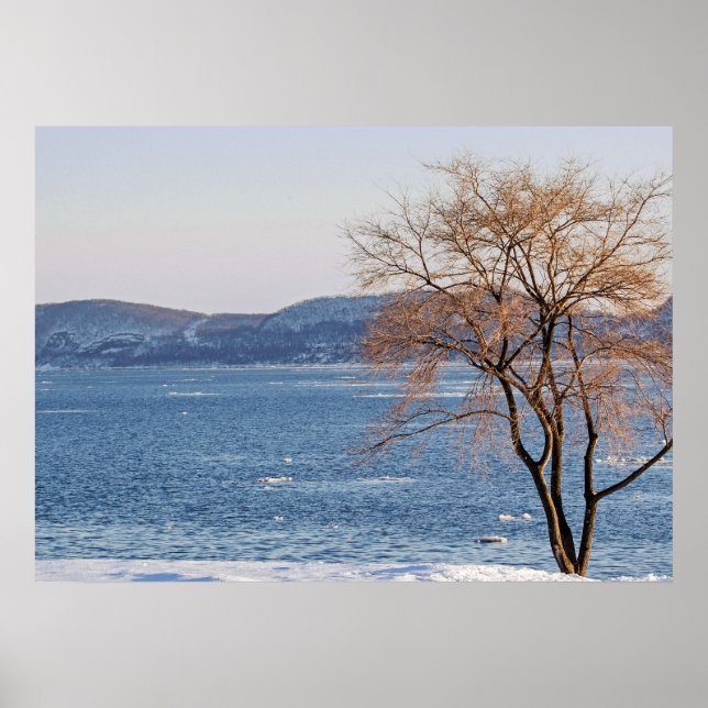 Spring Thaw, Steamboat Dock Poster (Vorne)