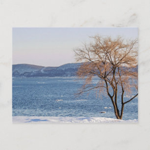 Spring Thaw, Steamboat Dock Postkarte