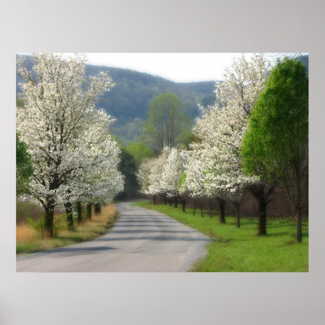 Spring time in the country poster (Vorne)