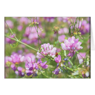 Spring Time LadyBug - Vierge