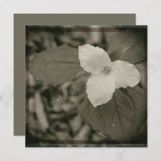 Spring Trillium Collodion Filter Mitteilungskarte