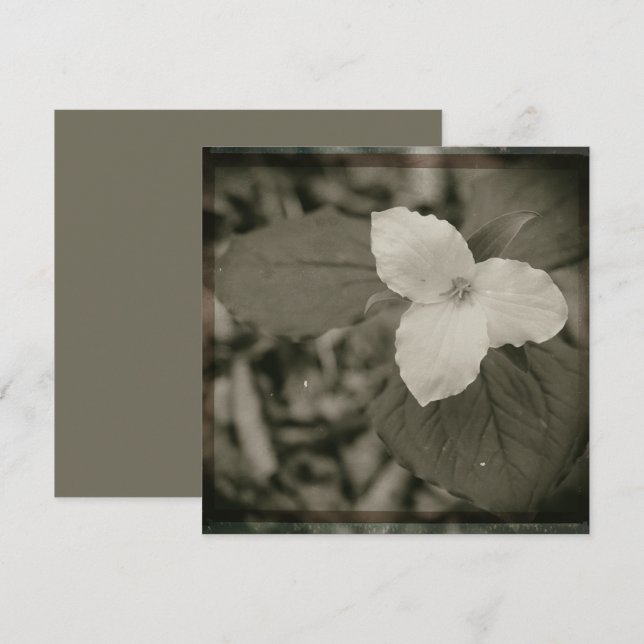 Spring Trillium Collodion Filter Mitteilungskarte (Vorne/Hinten)
