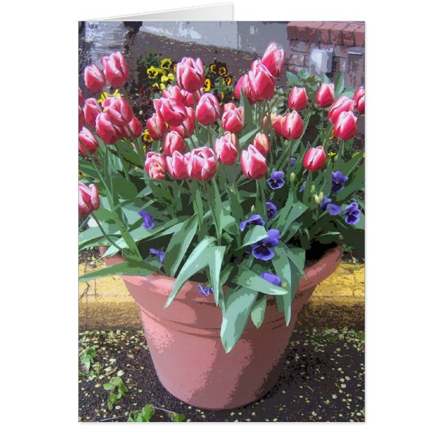 Spring Tulip Clay Pot (Vorne)