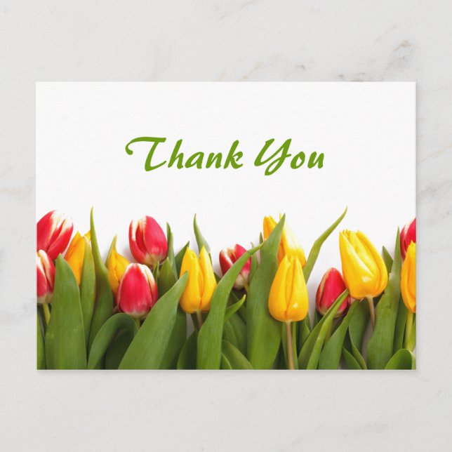 Spring Tulip Garden Vielen Dank Postcard Postkarte (Vorderseite)
