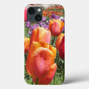 Spring Tulips iPad Mini Retina Fall title_seo2