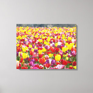 Spring Tulips Leinwand Panels Custom Fine Art