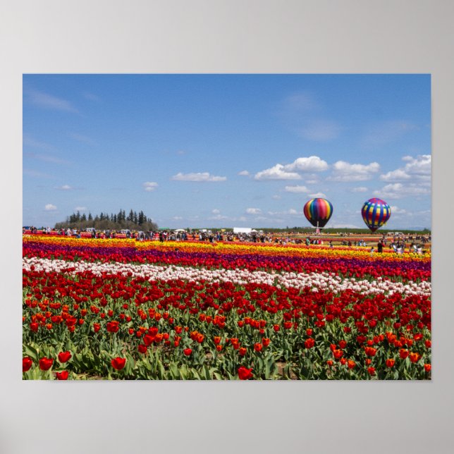 Spring Tulips Poster Paper (Matte) (Vorne)