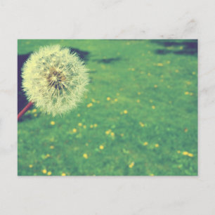 Spring Vintag wünscht Fotografie Postkarte