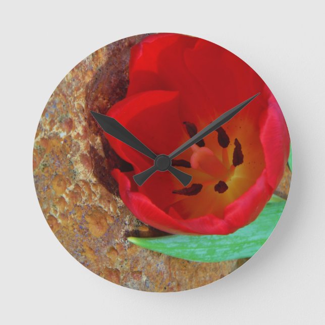 Spring yellow and Red Tulip Runde Wanduhr (Vorderseite)