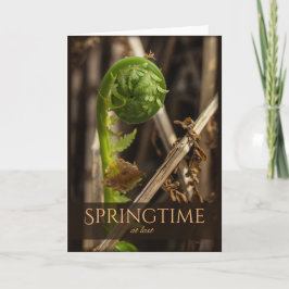 Spring Young fern rising CC0920 Beautiful nature Karte