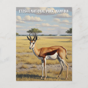 Springbok Etosha Nationalpark Namibia Travel Postkarte