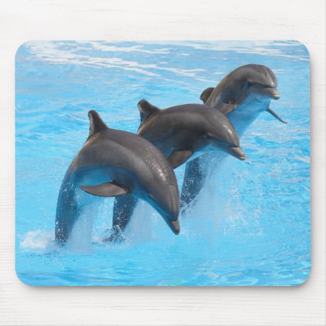 Springen der Delphin-Mäusematte Mousepad (Vorne)