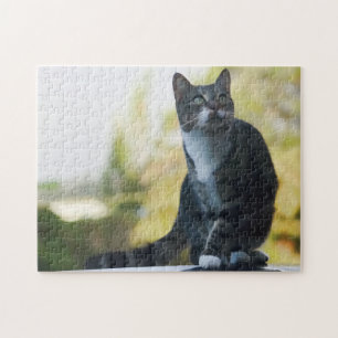 Springen katzenartig