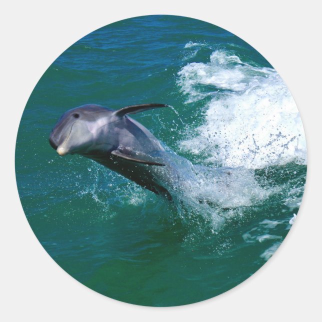 Springen und Tanzen Dolphin Runder Aufkleber (Vorderseite)