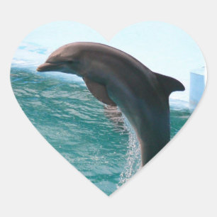 Springen von Dolphin Stickers