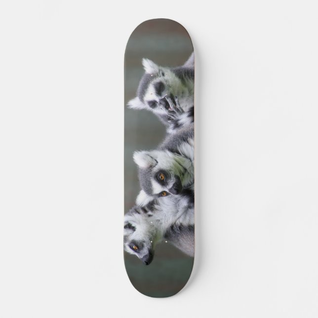 SPRINGEN VON VON LEMURS SKATEBOARD (Vorderseite)