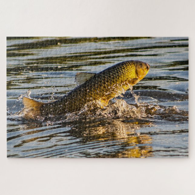 Springender Graskarpfen (Horizontal)