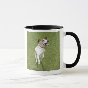 Springender Jackrussell-Terrier, erhöhte Ansicht Tasse