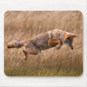 Springender Kojote - Gibbon-Wiesen Mousepad