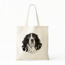 Springer font face au sac