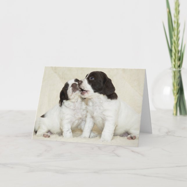 Springer Puppy Friends Karte (Vorderseite)