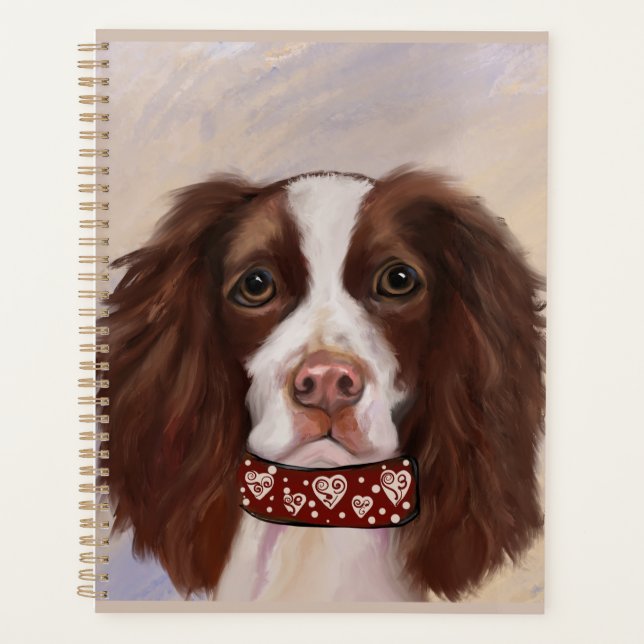 SPRINGER SPANIEL ANGLAIS     (Devant)