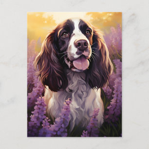 Springer Spaniel auf dem Lavenderfeld Postkarte