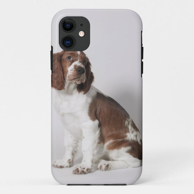 Springer Spaniel Case-Mate iPhone Hülle (Rückseite)
