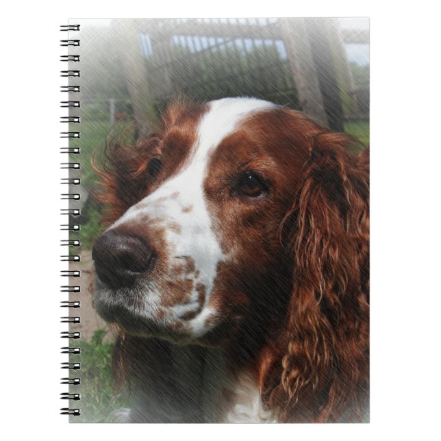 Springer Spaniel Dog Art Notizblock (Vorderseite)