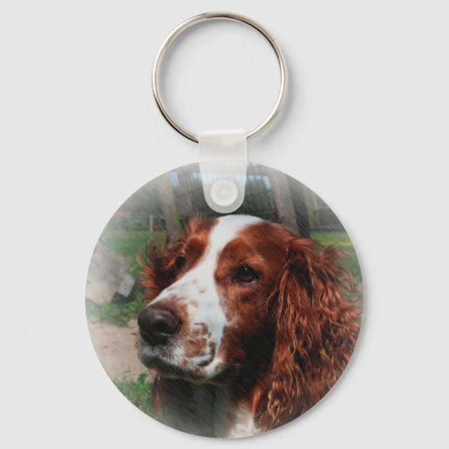Springer Spaniel Dog Art Schlüsselanhänger (Vorderseite)