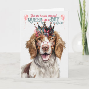 Springer Spaniel Dog Queen Day Funny Birthday Karte