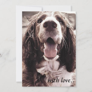 Springer Spaniel-Grußkarte Dankeskarte