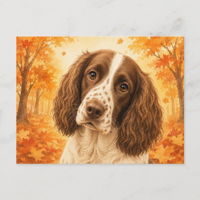 Springer Spaniel Herbstwald Hund Postkarte (Vorderseite)