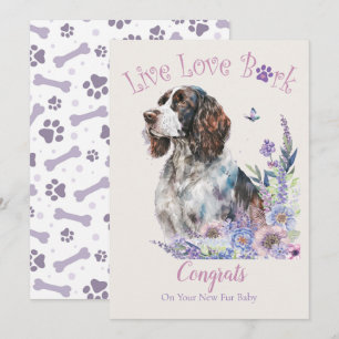 Springer Spaniel Hund Adoption, Gotcha Tag Karte