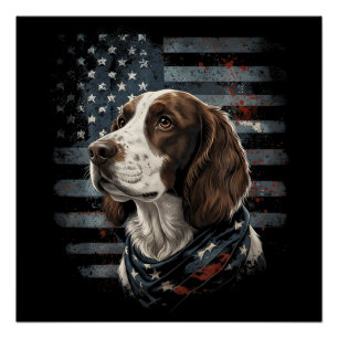Springer Spaniel Hund Amerikanische Flagge Poster