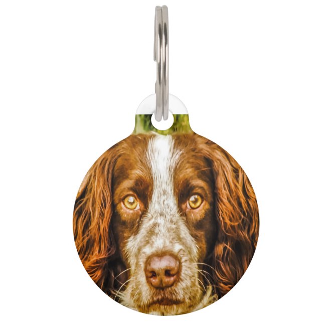 Springer Spaniel Hund. Haustiermarke (Vorderseite)