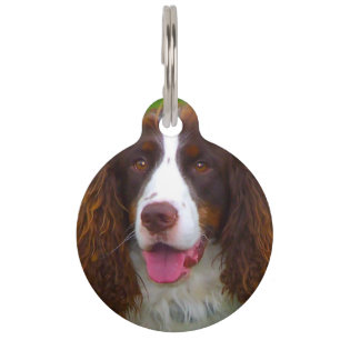 Springer Spaniel Hund. Haustiermarke