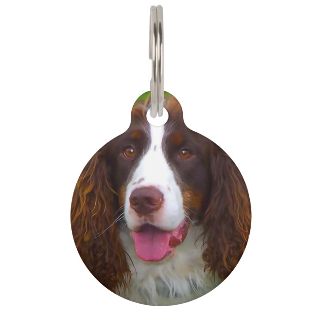 Springer Spaniel Hund. Haustiermarke (Vorderseite)