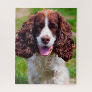 Springer Spaniel Hund Jigsaws.