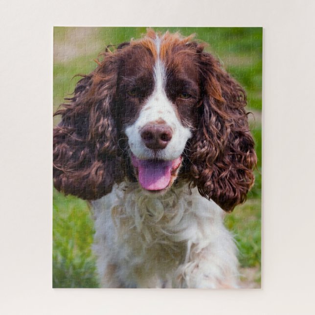 Springer Spaniel Hund Jigsaws. (Vertikal)